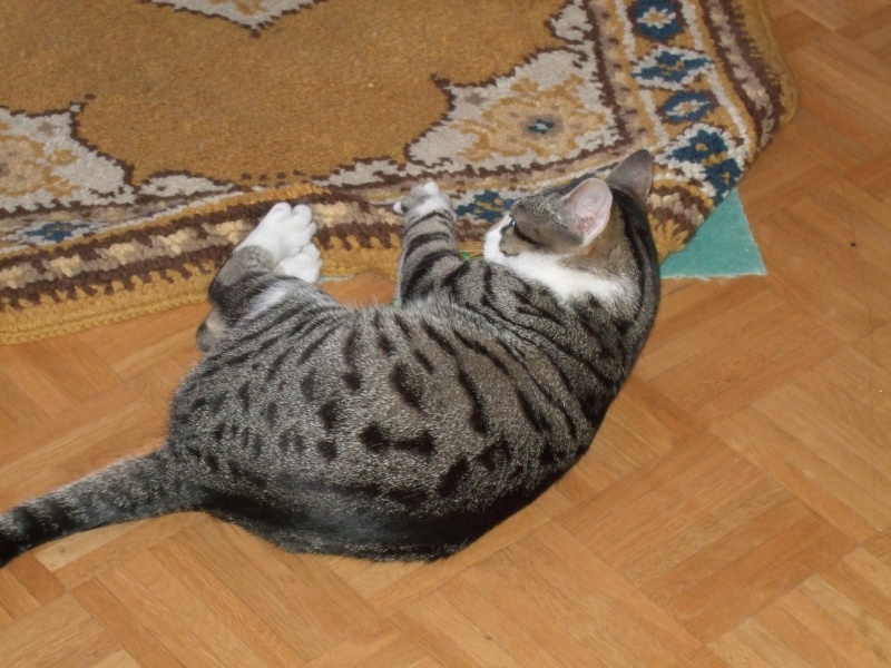 Ostern 2007 Orleshausen 123 